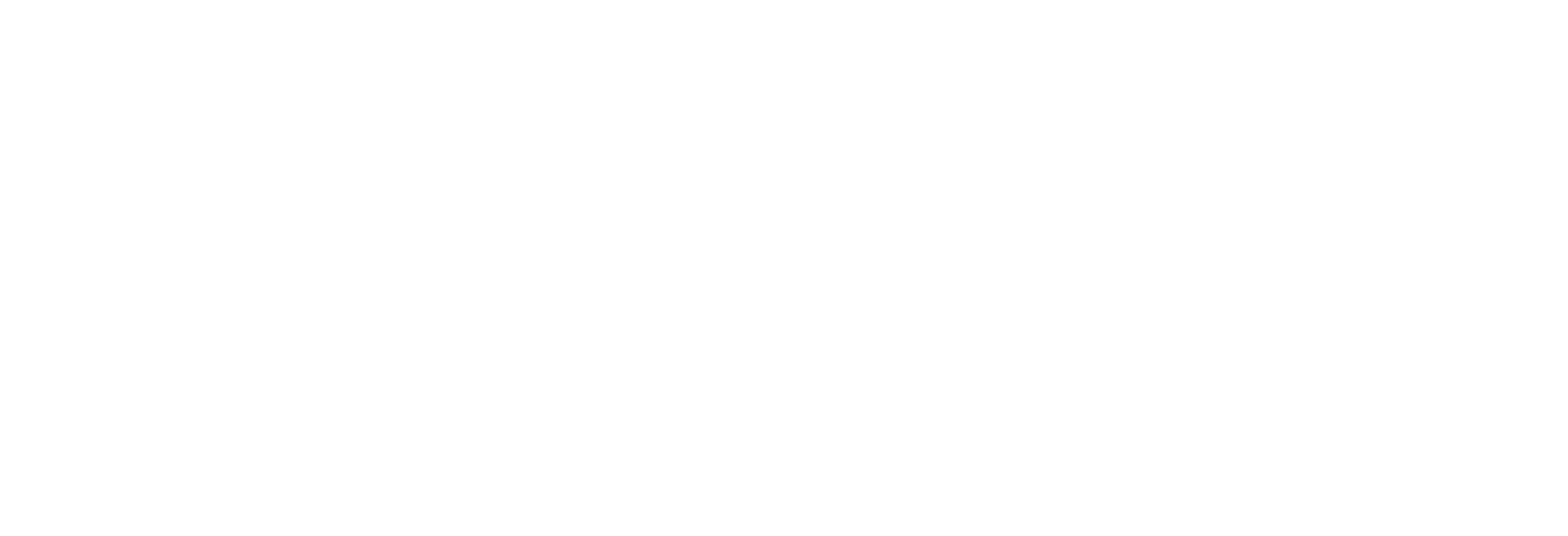 事为电商 SellsWell E-commerce